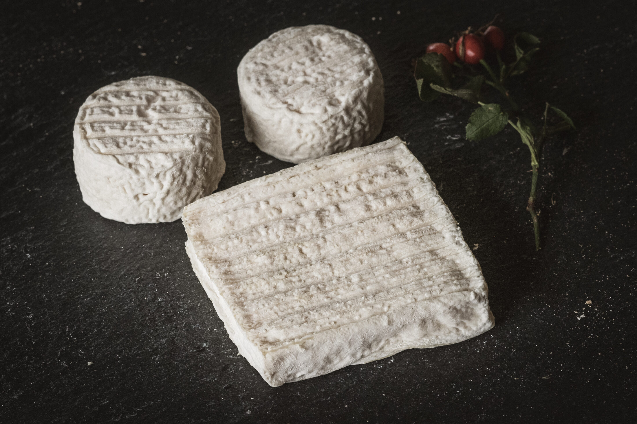 Lactiques de chèvre