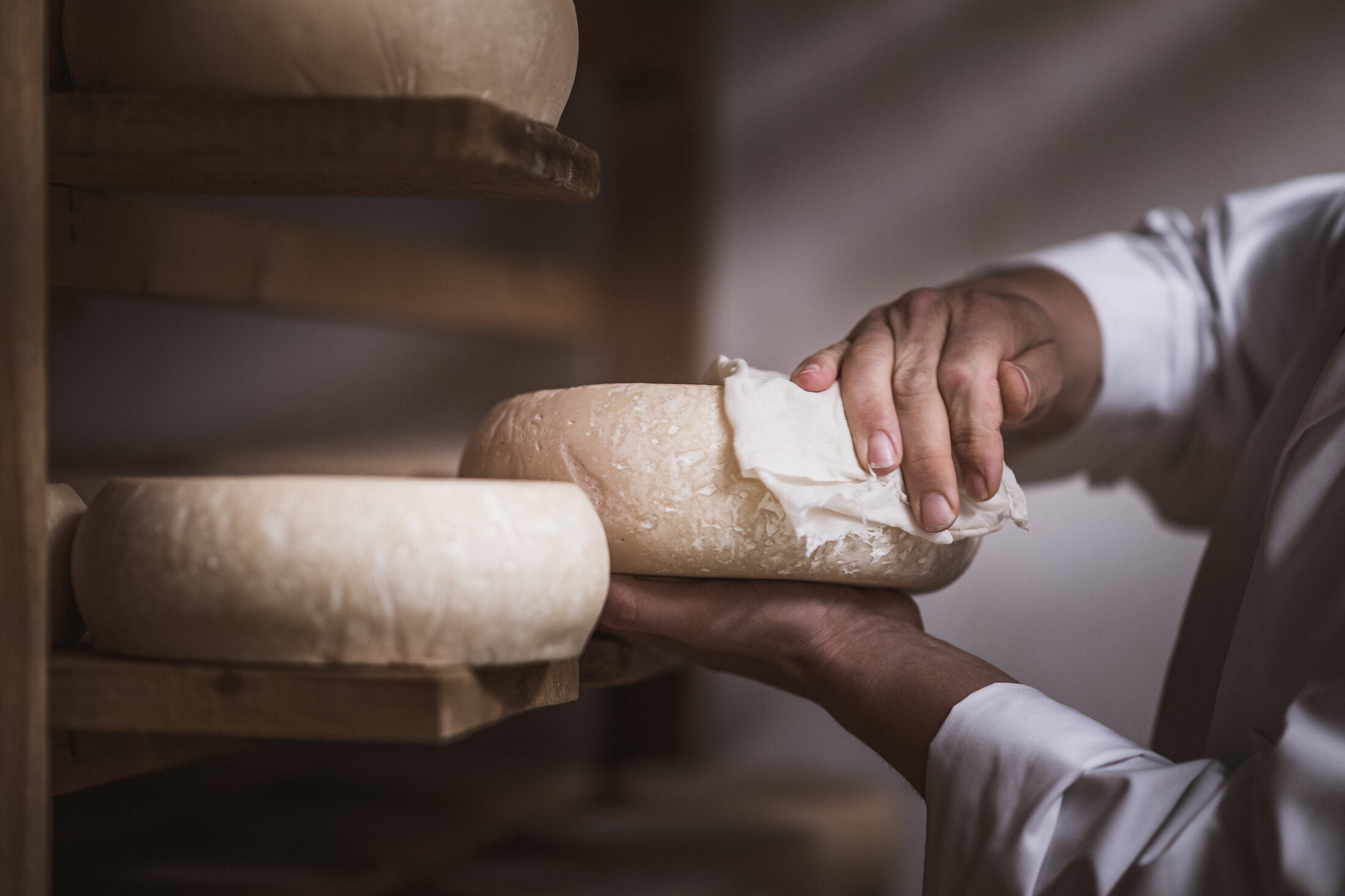 Soin manuel apporté à une tomme