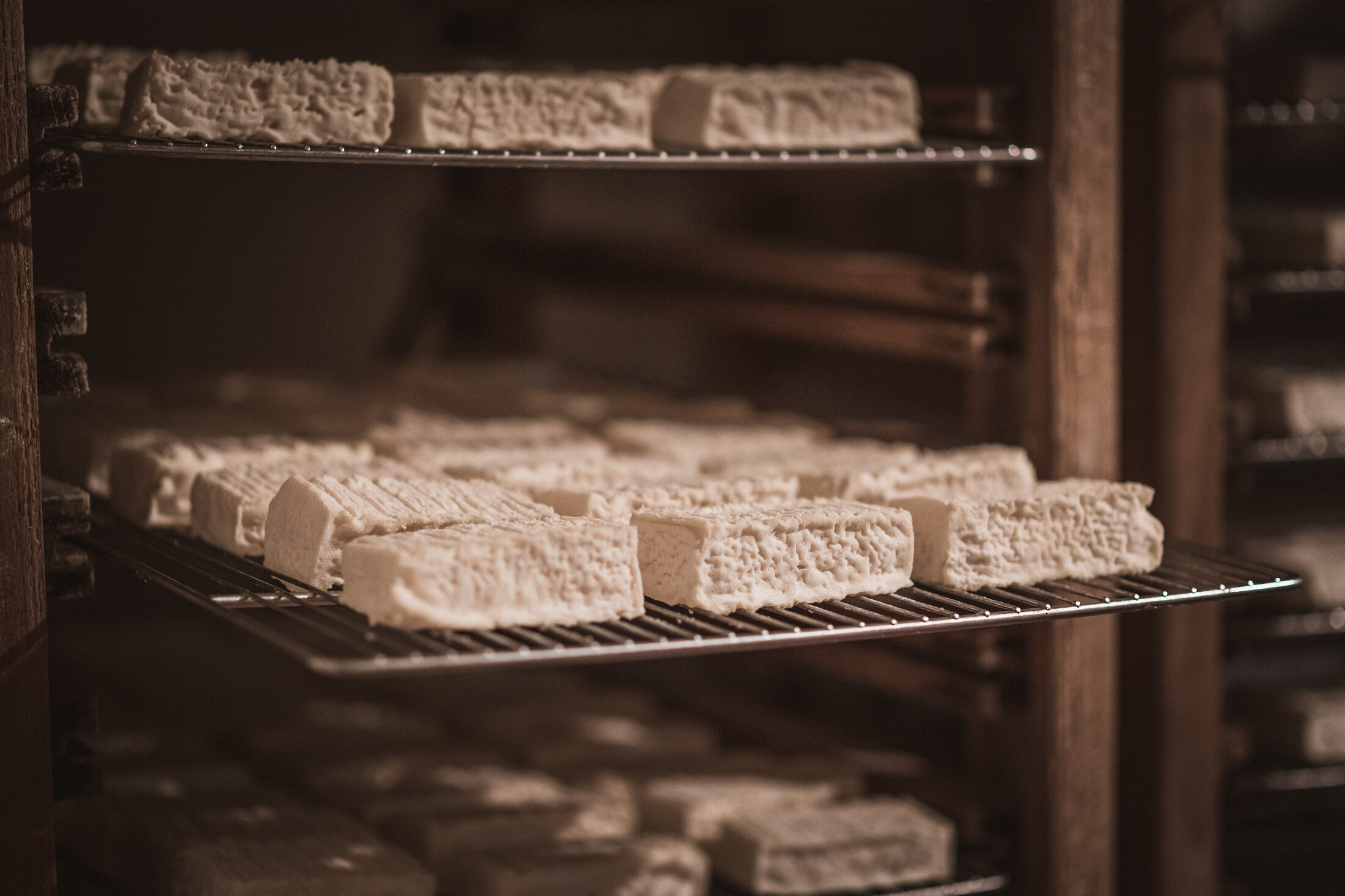 Fromages lactiques en cours d’affinage